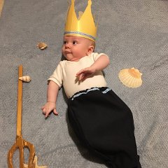 IMG 222